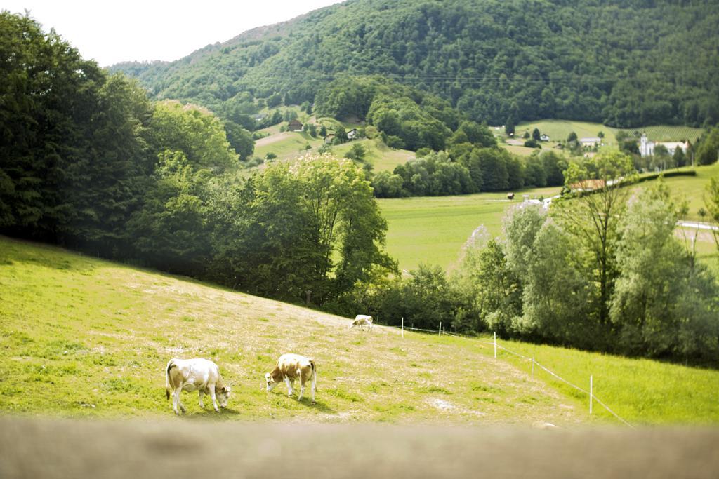 Vila Tourist Farm Mraz Podčetrtek Exteriér fotografie