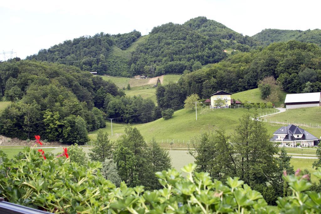 Vila Tourist Farm Mraz Podčetrtek Exteriér fotografie